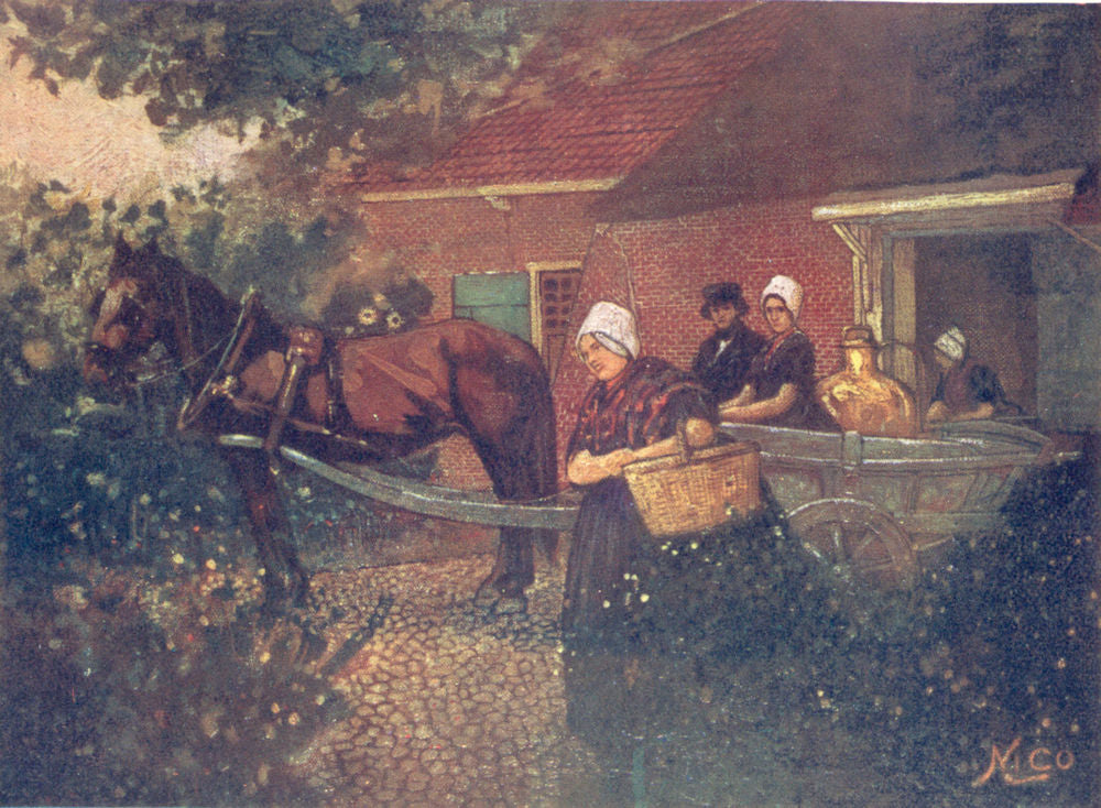 NETHERLANDS. North Brabant. A Walcheren Milk-cart 1904 old antique print